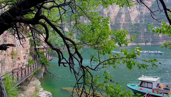 金马科技，智慧酒店，酒店智能化，智慧酒店整体解决方案